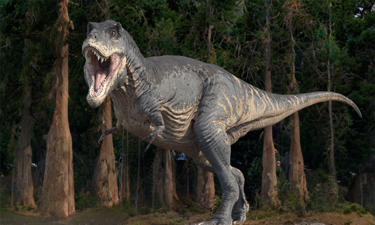 dinosaur-remains-found-in-t