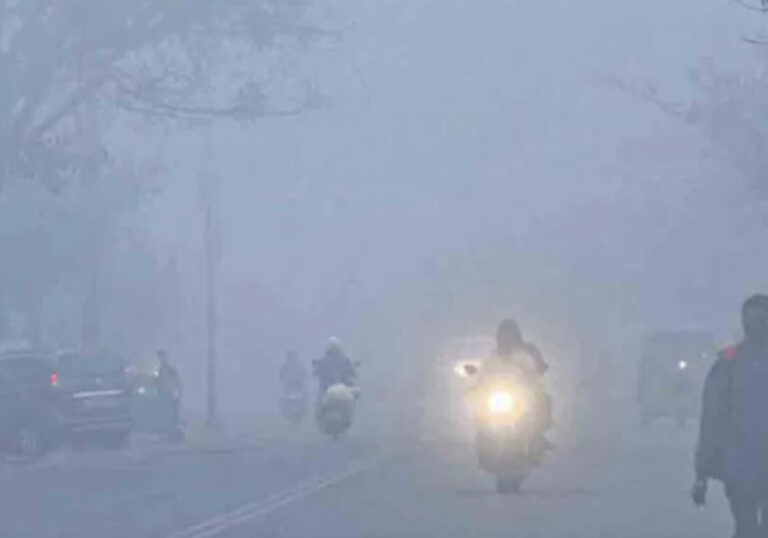 inshot_20251212_155600871