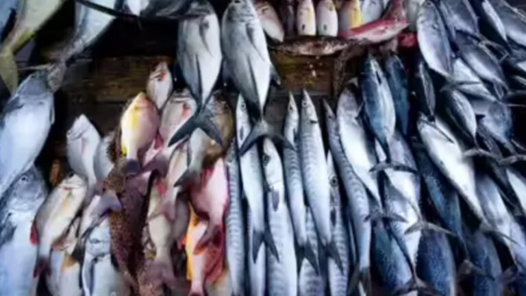 inshot_20251221_191551091